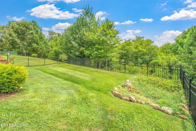 4218 Rare Earth Dr, Knoxville, TN 37938 - photo 39