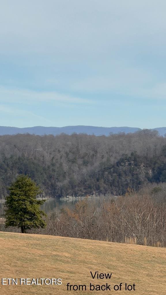 LOT13 Holly Bend Dr, Byrdstown, TN 38549 - photo 2