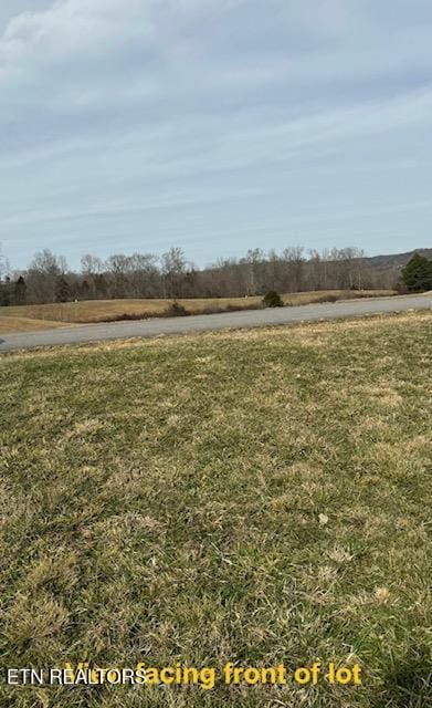 LOT13 Holly Bend Dr, Byrdstown, TN 38549 - photo 4