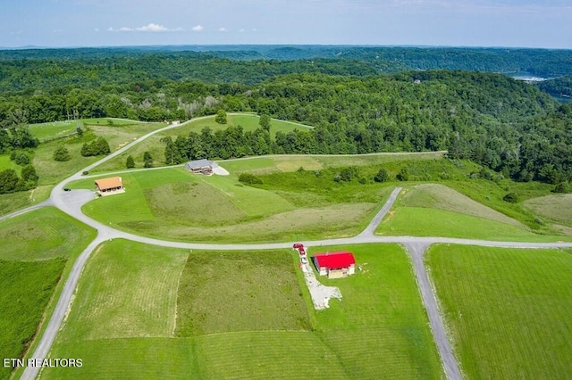 LOT13 Holly Bend Dr, Byrdstown, TN 38549 - photo 7