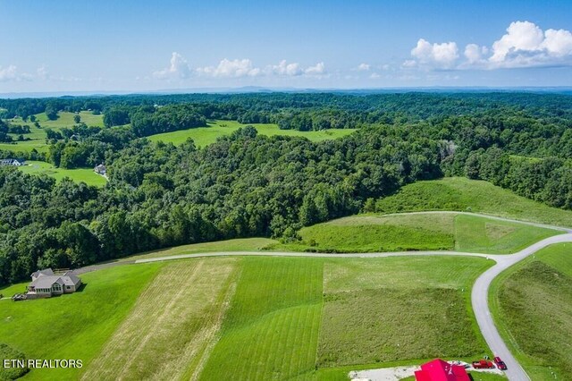 LOT13 Holly Bend Dr, Byrdstown, TN 38549 - photo 8