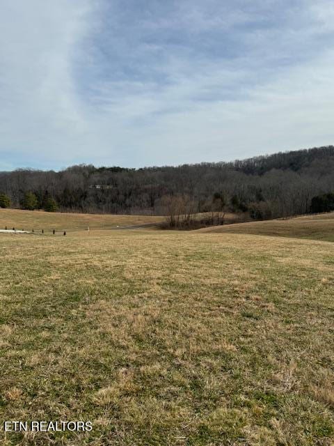 LOT13 Holly Bend Dr, Byrdstown, TN 38549 - photo 10