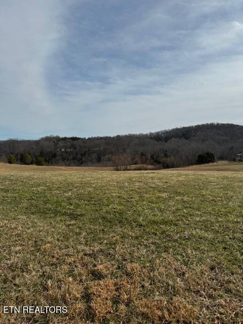 LOT13 Holly Bend Dr, Byrdstown, TN 38549 - photo 11