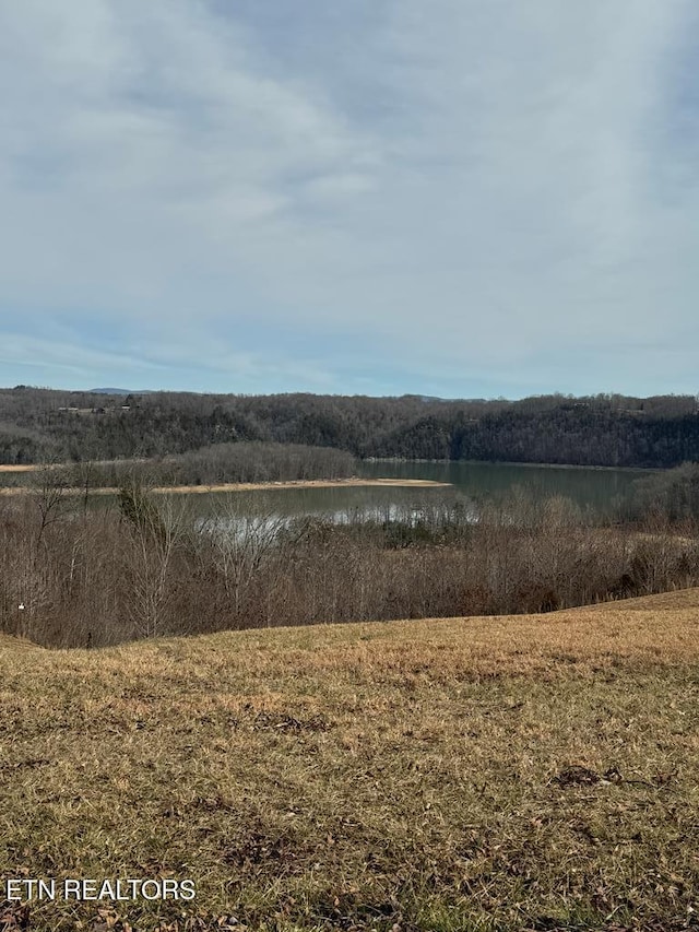 LOT13 Holly Bend Dr, Byrdstown, TN 38549 - photo 20