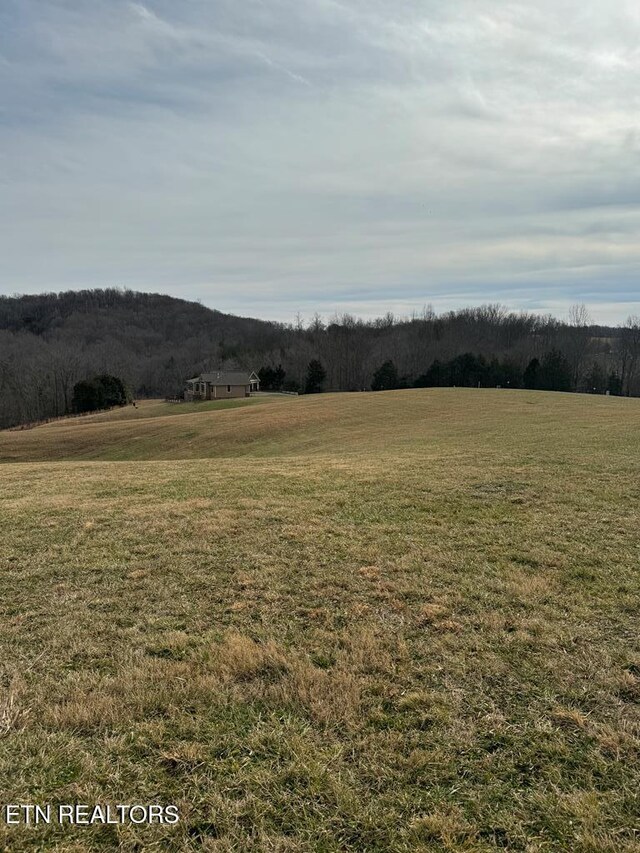 LOT13 Holly Bend Dr, Byrdstown, TN 38549 - photo 21