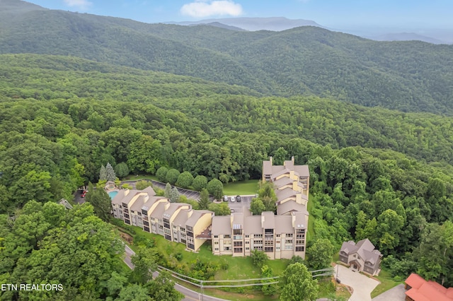 1130 Ski View Dr Unit 111, Gatlinburg, TN 37738 - photo 24