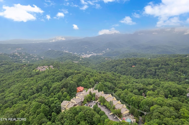 1130 Ski View Dr Unit 111, Gatlinburg, TN 37738 - photo 25