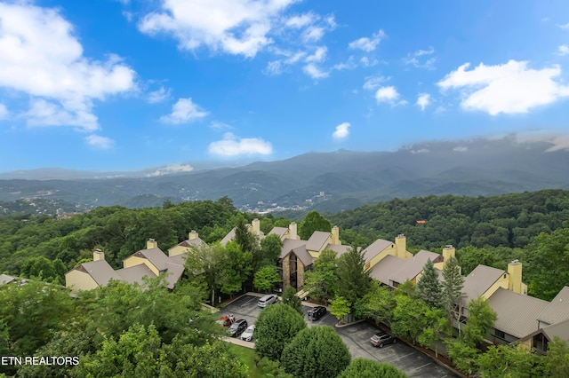 1130 Ski View Dr Unit 111, Gatlinburg, TN 37738 - photo 27