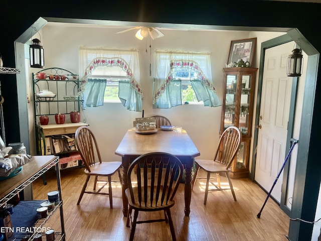 201 Browder St, Sweetwater, TN 37874 - photo 7