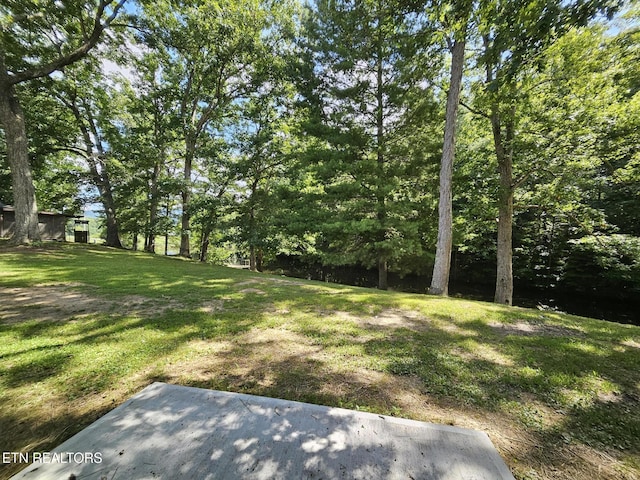 240 Fox Jones Rd, Lancing, TN 37770 - photo 23
