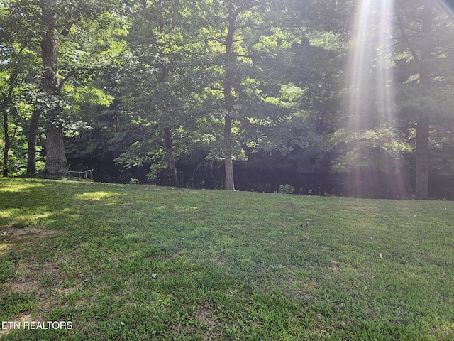 240 Fox Jones Rd, Lancing, TN 37770 - photo 3