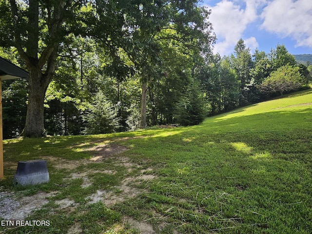 240 Fox Jones Rd, Lancing, TN 37770 - photo 8