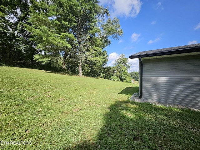 240 Fox Jones Rd, Lancing, TN 37770 - photo 10