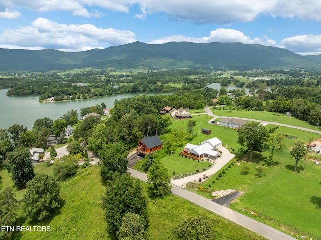 817 Powell Valley Shores Cir, Speedwell, TN 37870 - photo 49