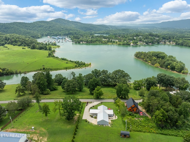 817 Powell Valley Shores Cir, Speedwell, TN 37870 - photo 50