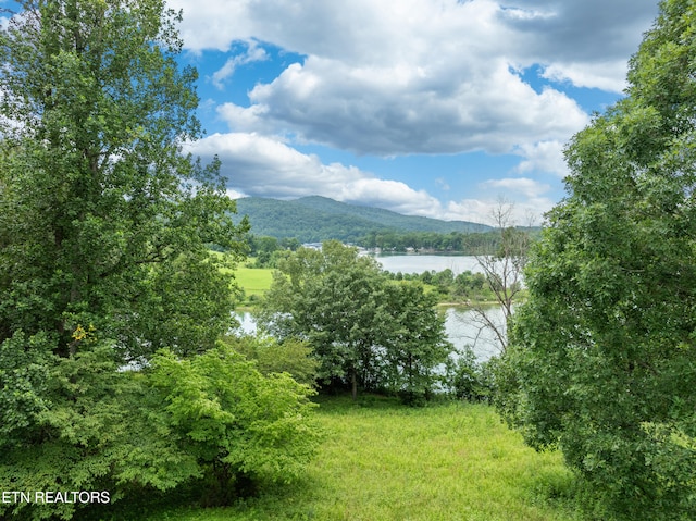 817 Powell Valley Shores Cir, Speedwell, TN 37870 - photo 53