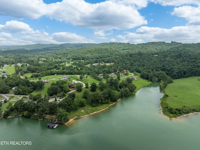 817 Powell Valley Shores Cir, Speedwell, TN 37870 - photo 54