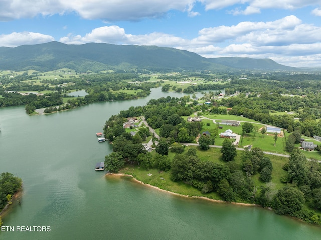 817 Powell Valley Shores Cir, Speedwell, TN 37870 - photo 55