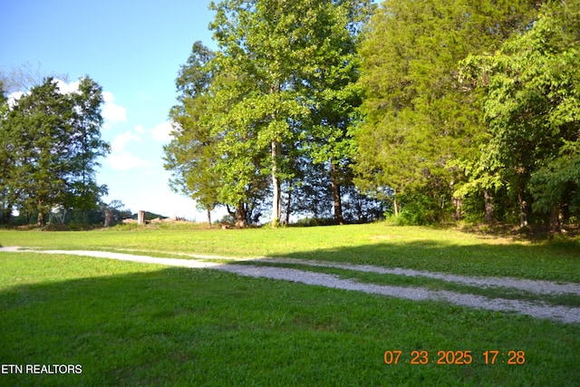 1617 Bull Run Rd, Luttrell, TN 37779 - photo 4