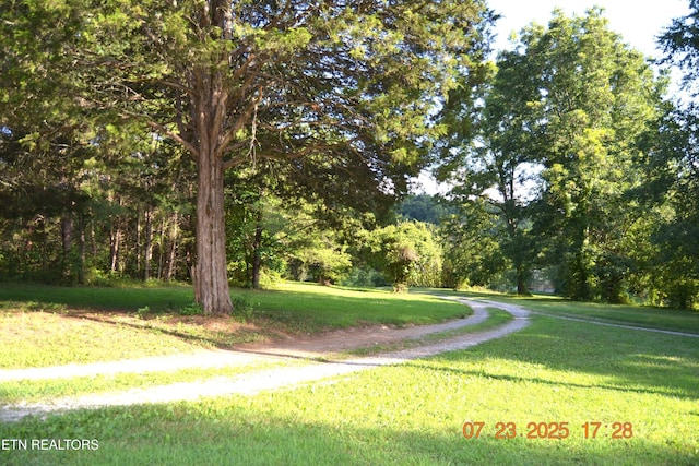 1617 Bull Run Rd, Luttrell, TN 37779 - photo 3