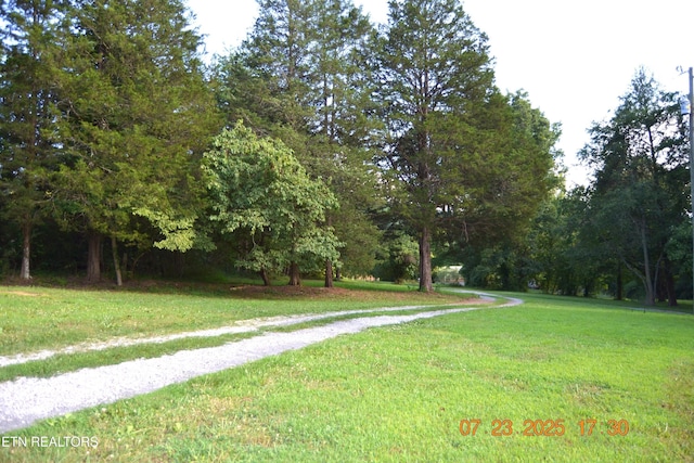 1617 Bull Run Rd, Luttrell, TN 37779 - photo 5