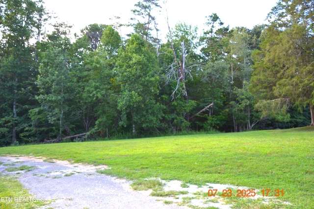 1617 Bull Run Rd, Luttrell, TN 37779 - photo 29