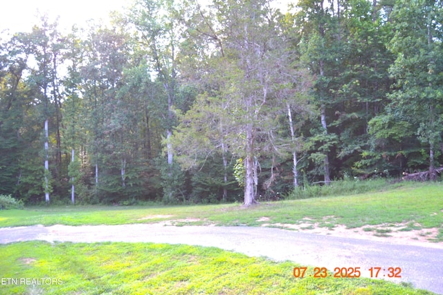 1617 Bull Run Rd, Luttrell, TN 37779 - photo 30
