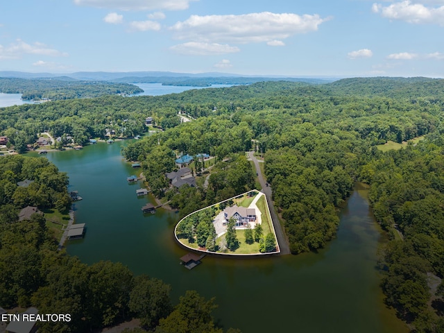 210 Waterside Dr, Ten Mile, TN 37880 - photo 60