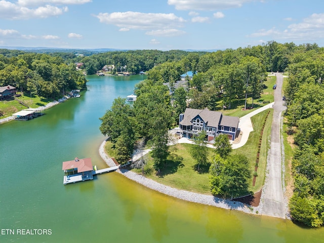 210 Waterside Dr, Ten Mile, TN 37880 - photo 58
