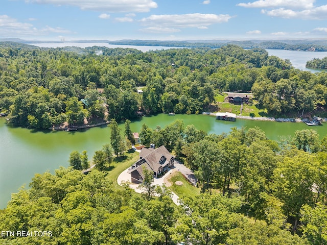 210 Waterside Dr, Ten Mile, TN 37880 - photo 59