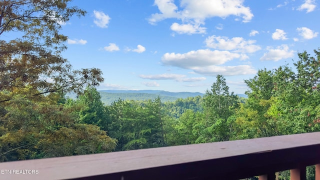 1179 Whistle Valley Rd, New Tazewell, TN 37825 - photo 2