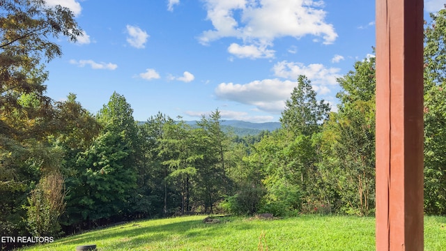 1179 Whistle Valley Rd, New Tazewell, TN 37825 - photo 36