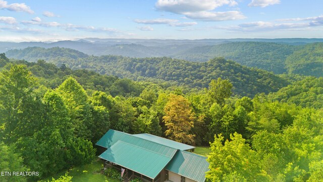 1179 Whistle Valley Rd, New Tazewell, TN 37825 - photo 42