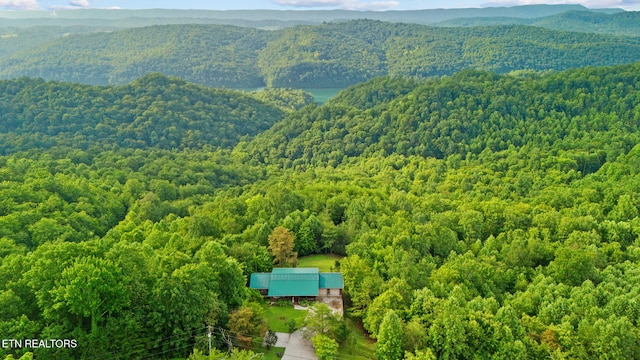 1179 Whistle Valley Rd, New Tazewell, TN 37825 - photo 47