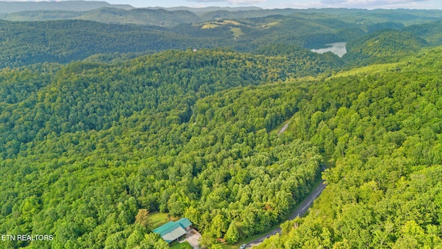 1179 Whistle Valley Rd, New Tazewell, TN 37825 - photo 48