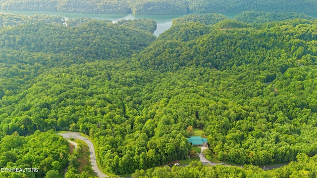 1179 Whistle Valley Rd, New Tazewell, TN 37825 - photo 49