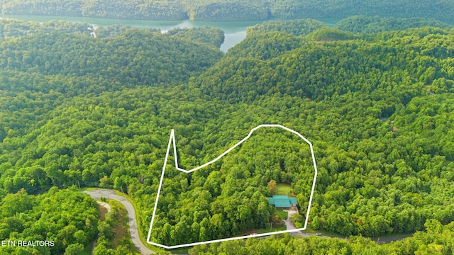 1179 Whistle Valley Rd, New Tazewell, TN 37825 - photo 46