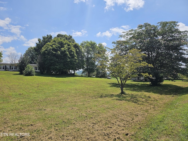 120 Sagefield Dr, Lafollette, TN 37766 - photo 3