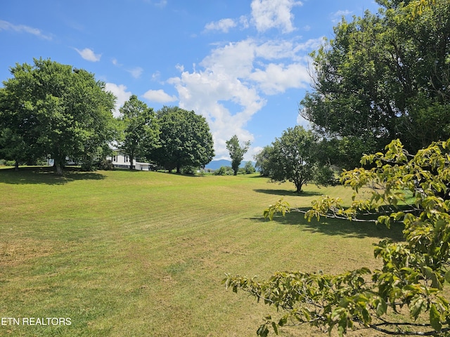 120 Sagefield Dr, Lafollette, TN 37766 - photo 4
