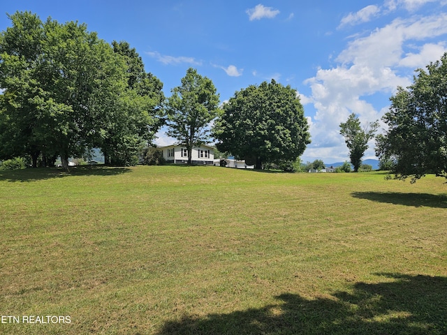 120 Sagefield Dr, Lafollette, TN 37766 - photo 5