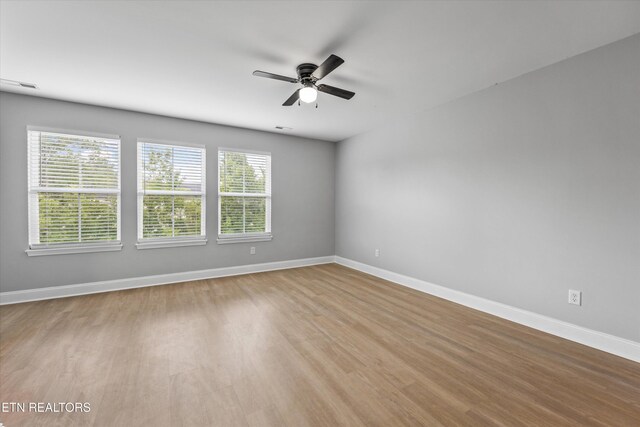 4828 Moon Lake Ln, Knoxville, TN 37918 - photo 24