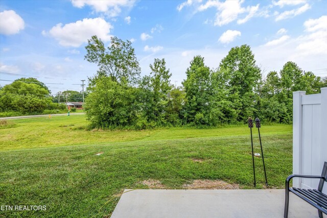 4828 Moon Lake Ln, Knoxville, TN 37918 - photo 30