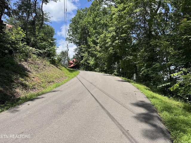 1806 High View Ct, Sevierville, TN 37876 - photo 4