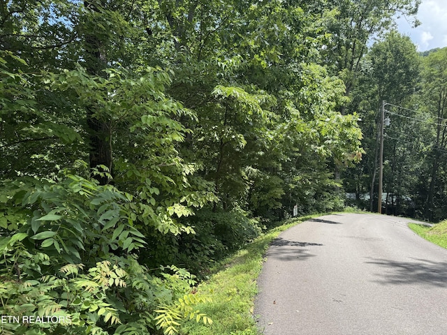 1806 High View Ct, Sevierville, TN 37876 - photo 5