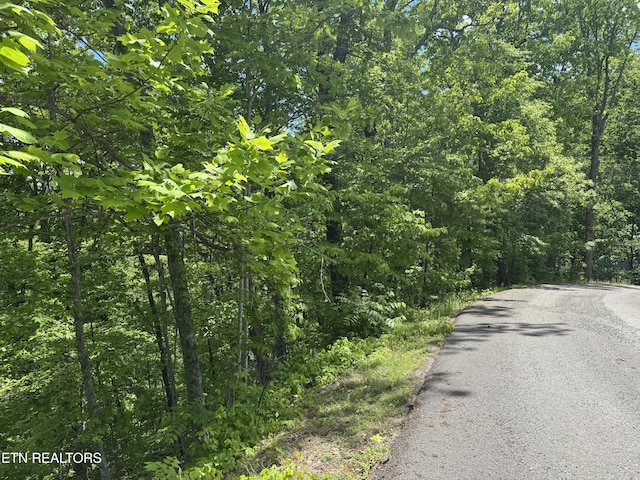1806 High View Ct, Sevierville, TN 37876 - photo 6