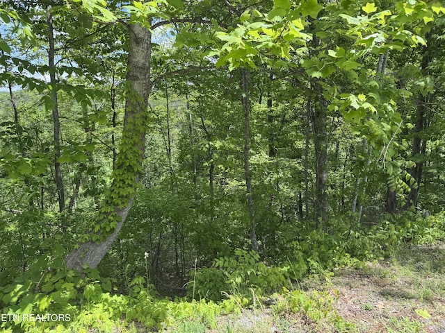 1806 High View Ct, Sevierville, TN 37876 - photo 8