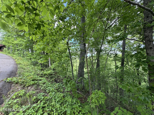 1806 High View Ct, Sevierville, TN 37876 - photo 7