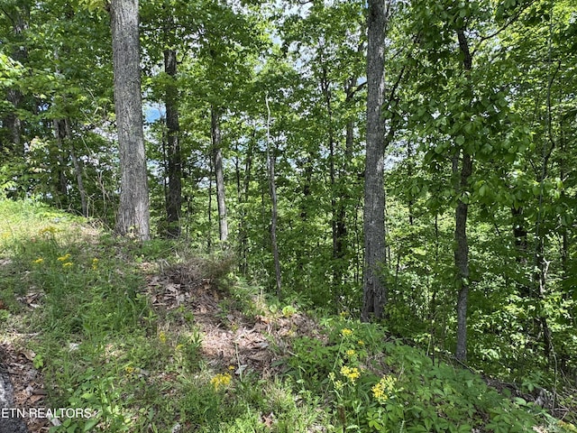 1806 High View Ct, Sevierville, TN 37876 - photo 9