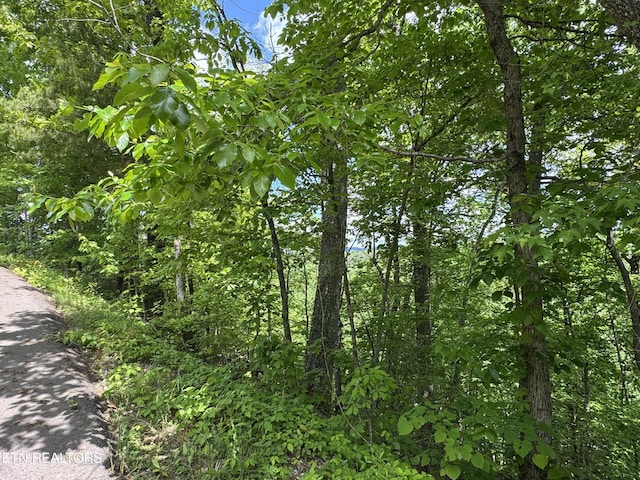 1806 High View Ct, Sevierville, TN 37876 - photo 10