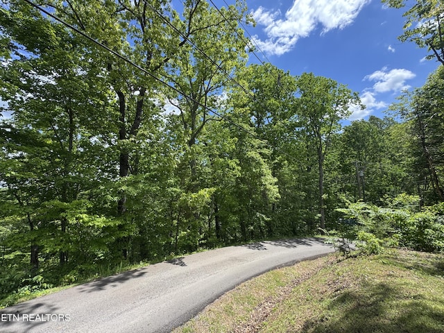 1806 High View Ct, Sevierville, TN 37876 - photo 1
